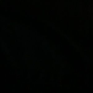 Meet your Posher, Curtis